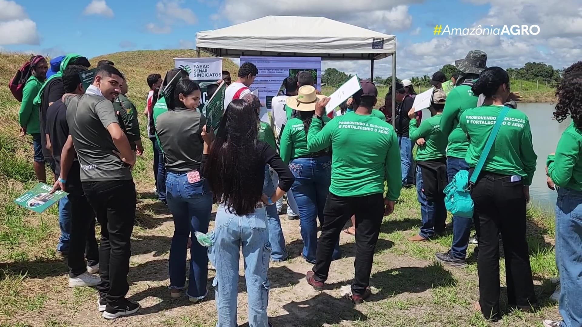 Gado Nelore pastando em área de manejo no interior do Acre, com floresta de fundo.