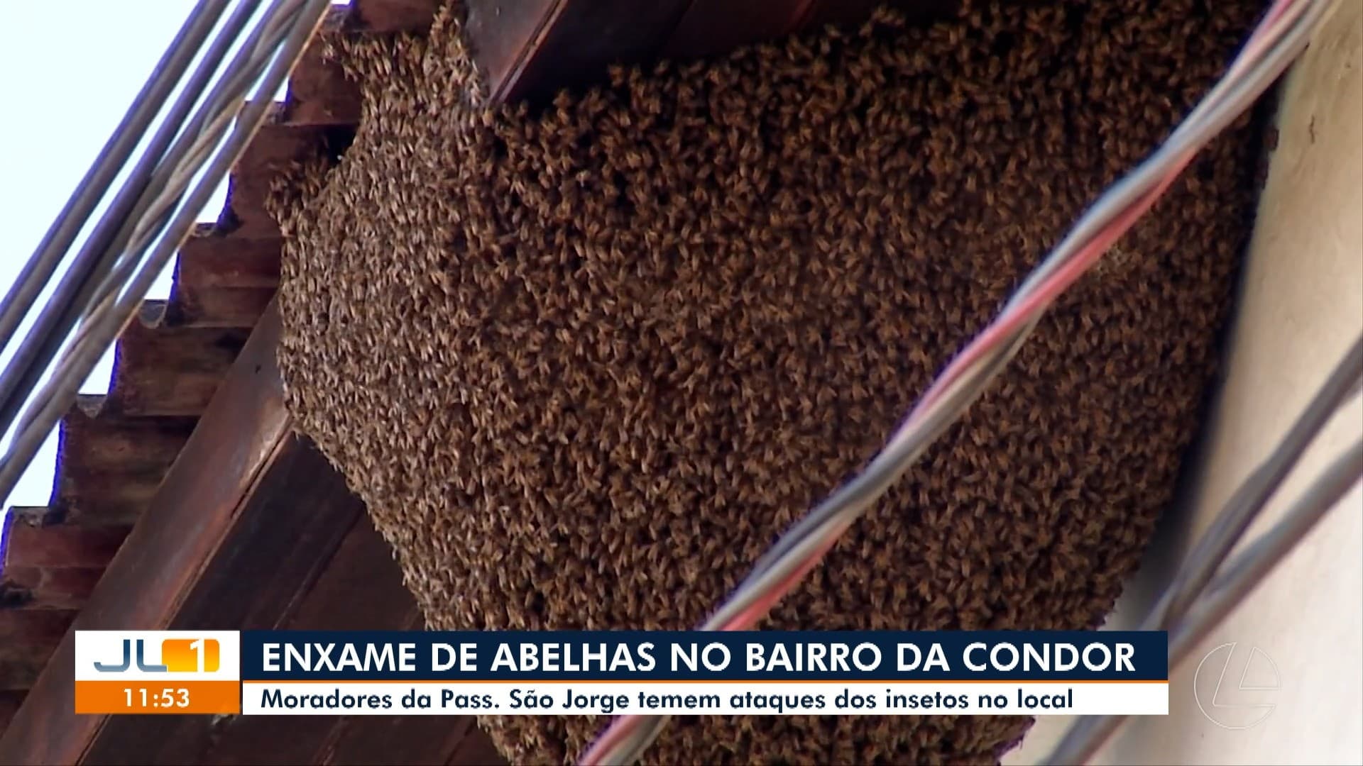 Feirantes protegem bancacas com lonas plásticas durante chuva forte no mercado Ver-o-Peso.