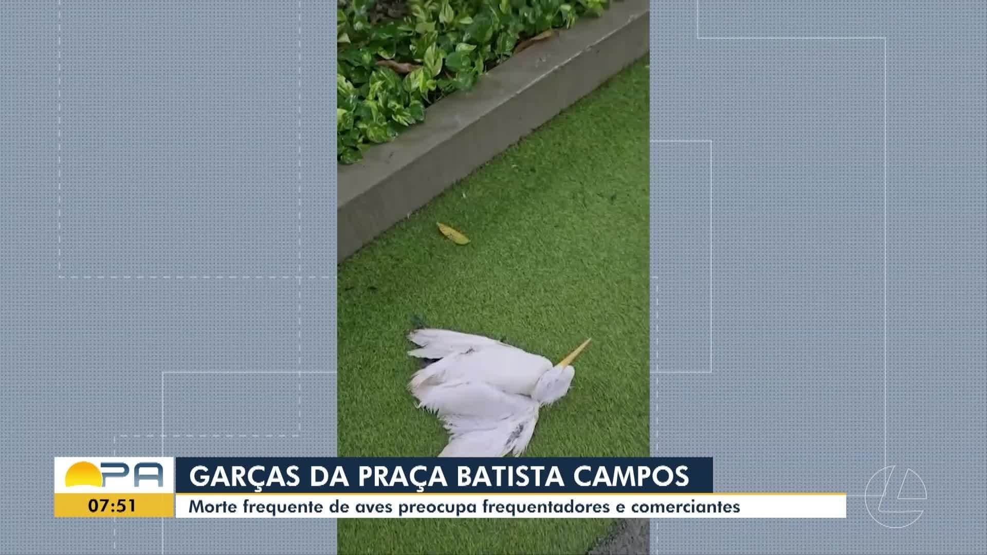 Carros parados em lama formada pela chuva sob o Viaduto Benedito Peixoto, no centro de Belém.