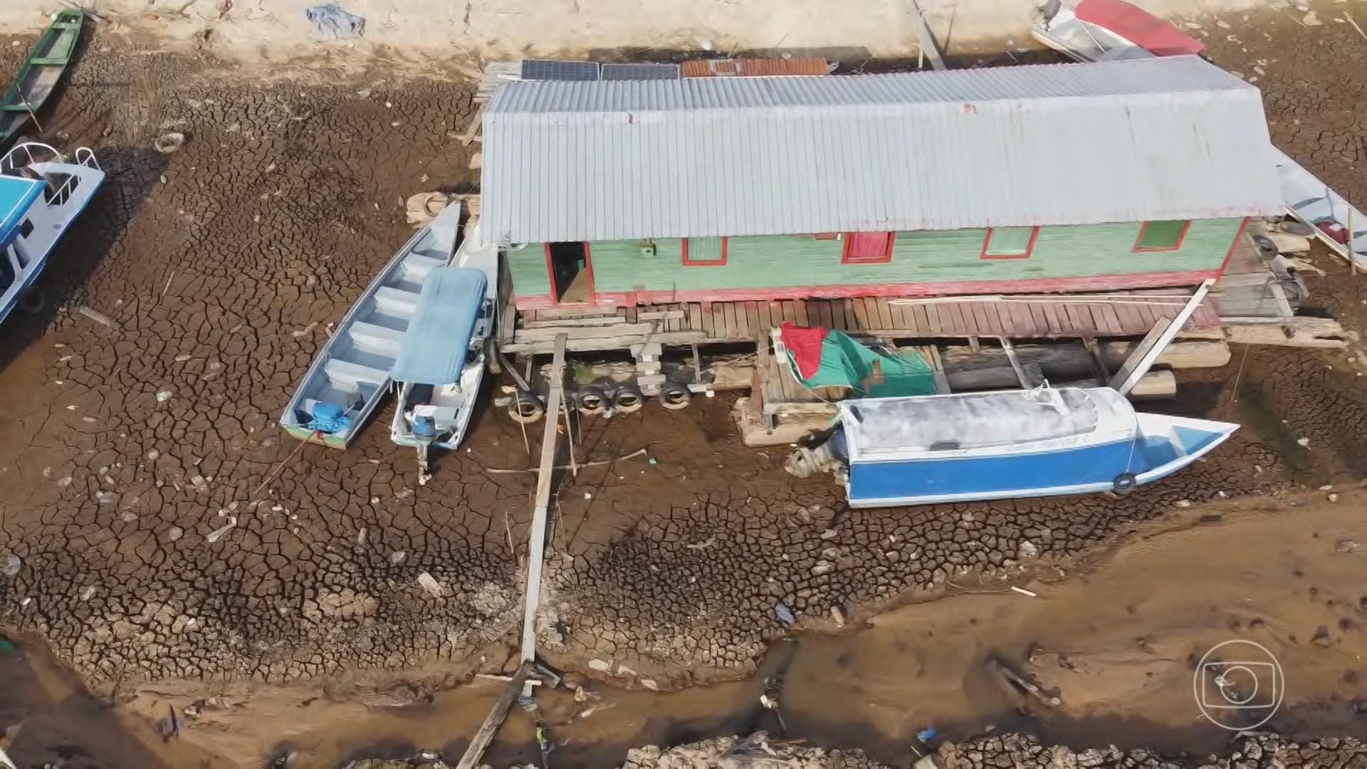 Margem do Rio Negro com nível baixo, expondo troncos de árvores e raízes na região de Manaus.