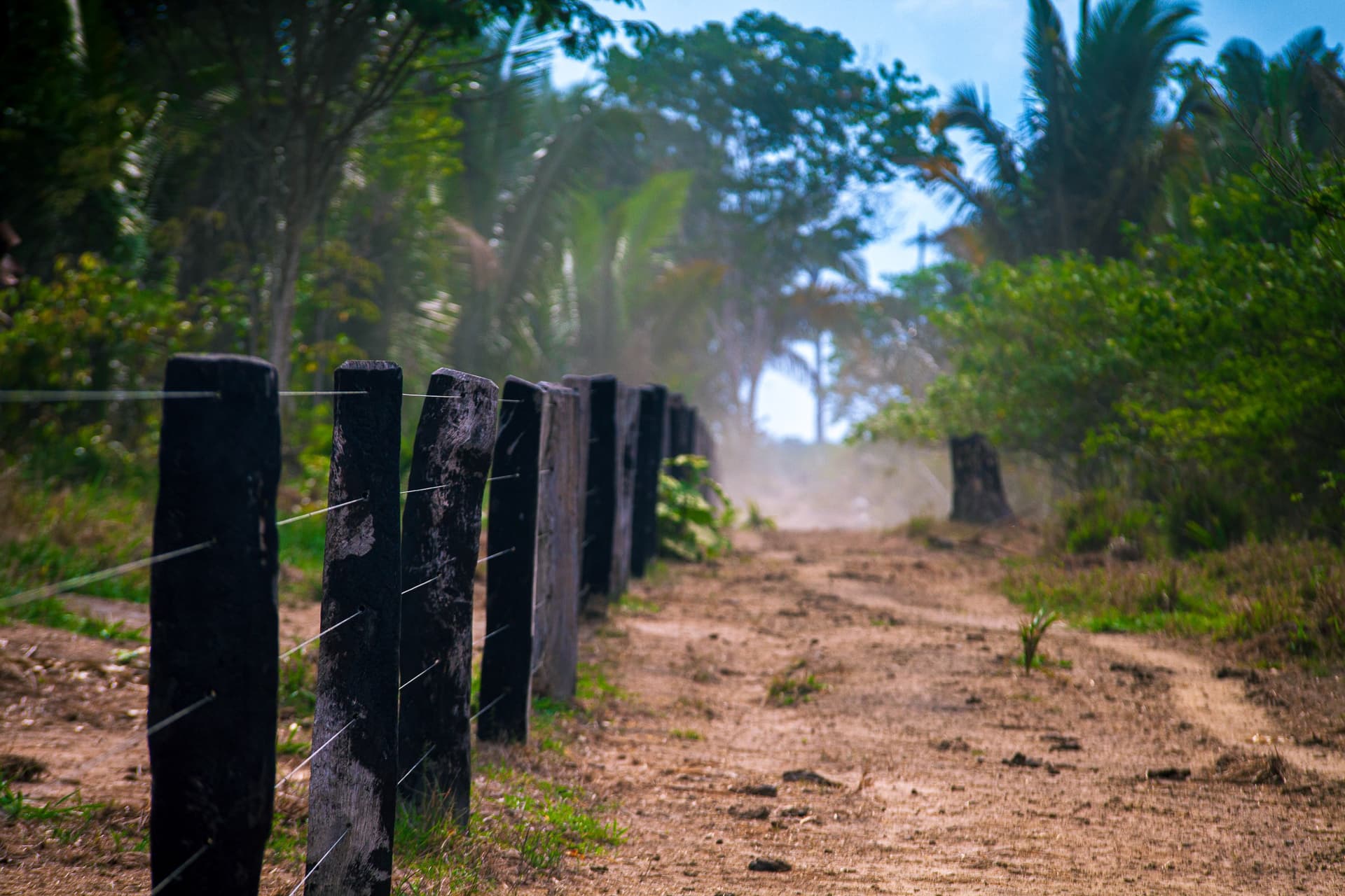 Entrada da Reserva Extrativista Jaci-Paraná em região de floresta em Rondônia.