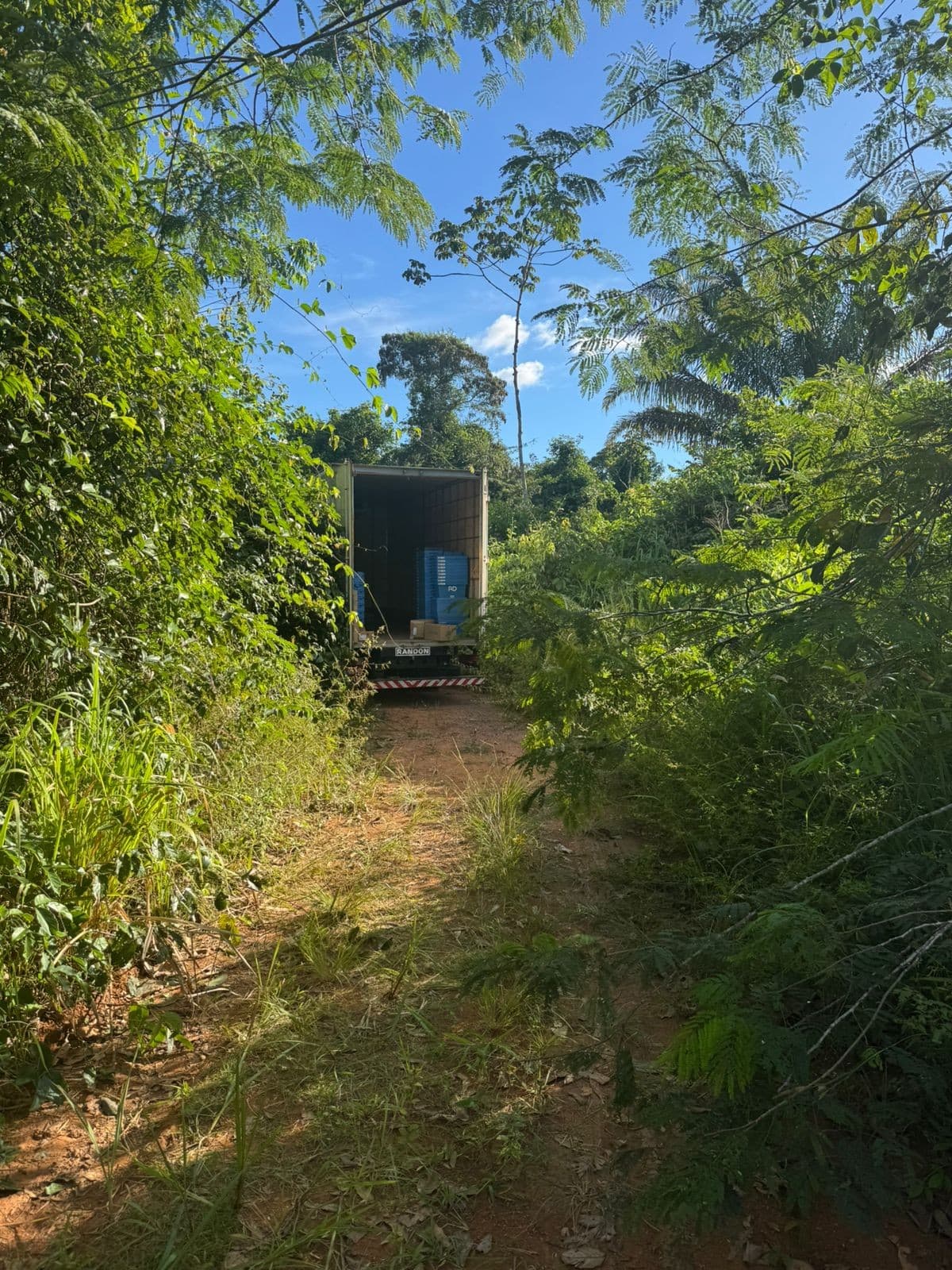 Caminhão de carga parado na margem da rodovia BR-222 em região de floresta no Pará.