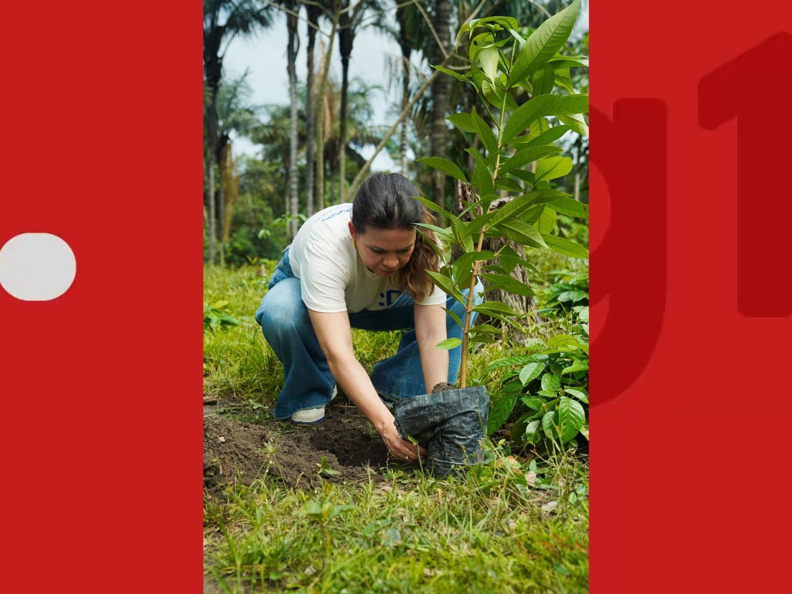 Voluntários plantam mudas em canteiro central de Rio Branco