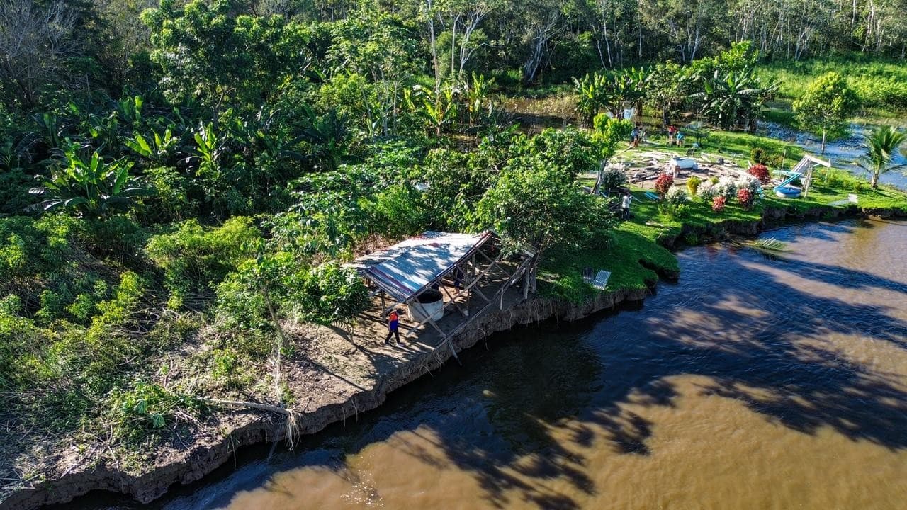 Margem erodida do Rio Amazonas mostra terra caída na água e vegetação destruída em Itacoatiara.
