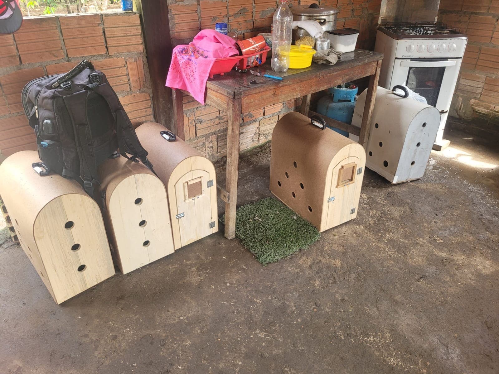 Gaiolas metálicas utilizadas para abrigar galos de combate são apreendidas pela polícia em Maués.