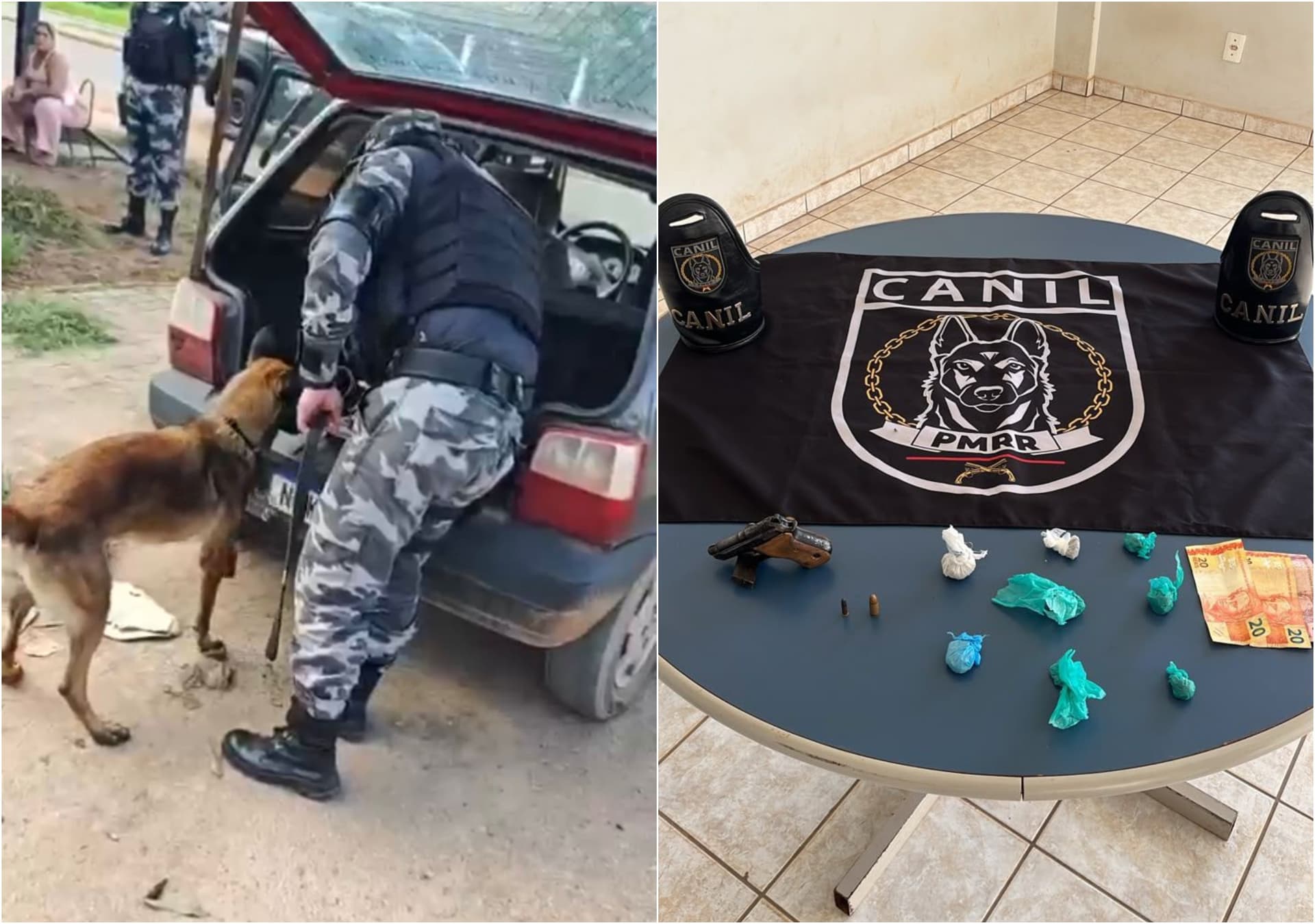Policial militar ao lado de cadela farejadora durante abordagem em via pública de Boa Vista.
