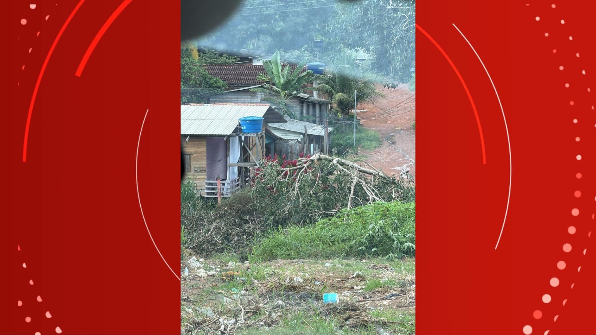Galhos de árvore presos nos fios de energia em rua residencial de Macapá.