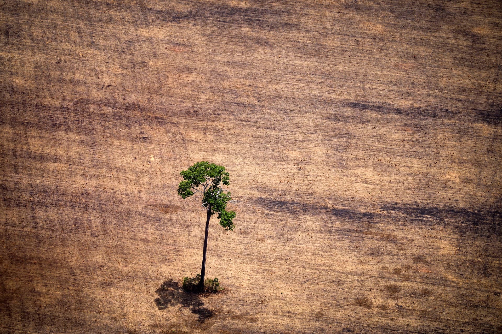 Documentos de regularização fundiária e mapas da Amazônia sobre mesa de escritório.