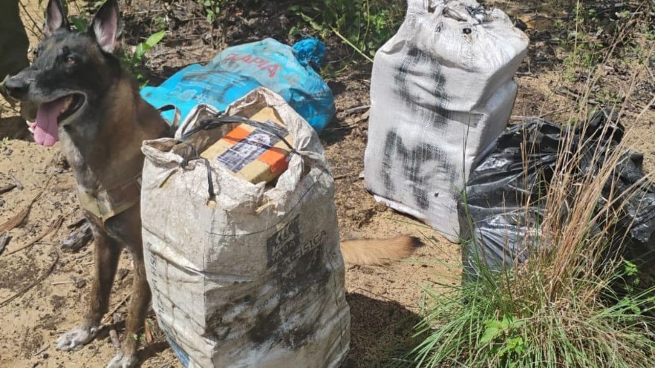 Policiais durante apreensão de drogas no Amazonas