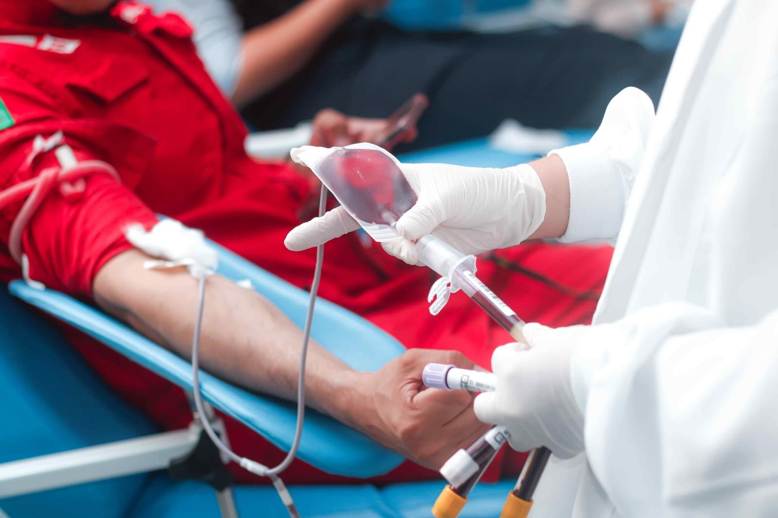 Carteiras de doador de sangue espalhadas sobre mesa em Manaus.