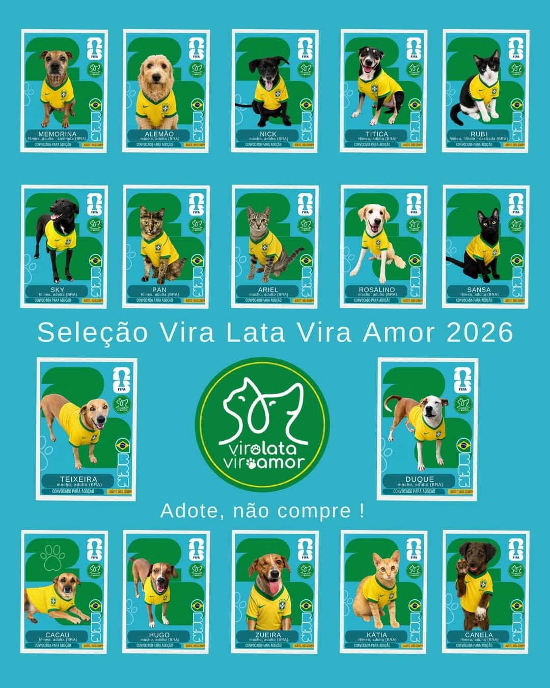 Cães esperam em frente ao abrigo Vira Lata Vira Amor, em Cacoal, durante campanha de adoção.