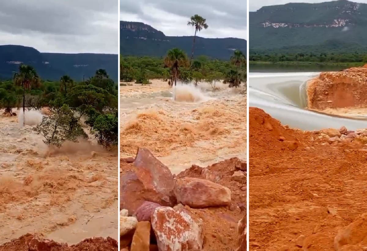 Vista de área degradada às margens de ribeirão após rompimento de barragem no Tocantins.