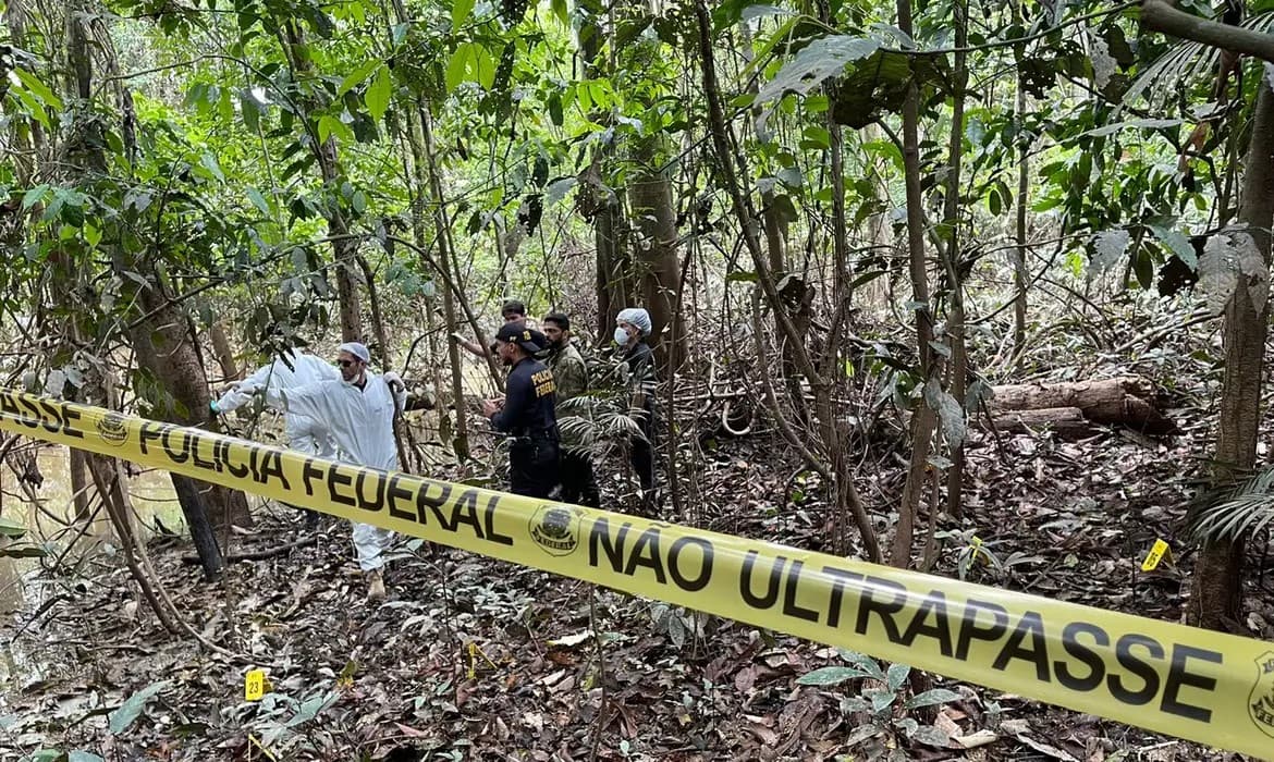 Gráfico estatístico mostrando queda na taxa de homicídios no Amazonas