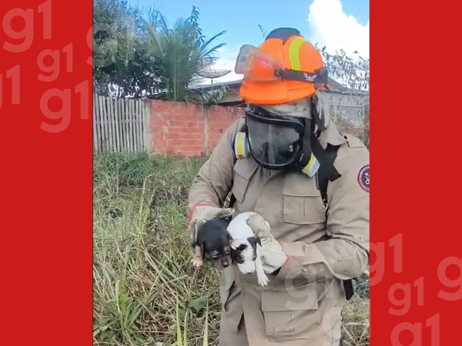 Bombeiro do Acare entrega filhote de cachorro sujo de terra para mulher em área residencial de Feijó.