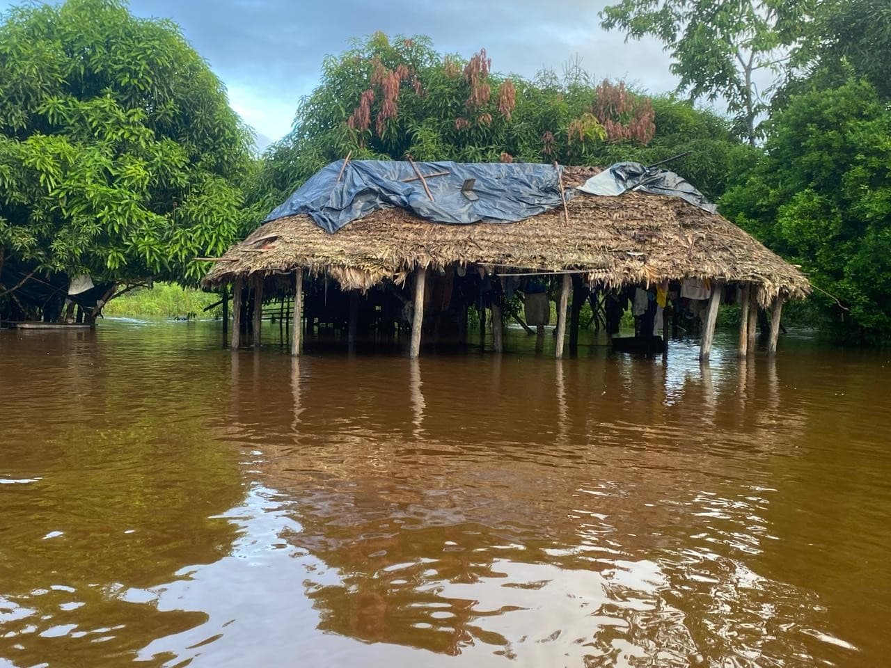 Casas e roças submersas pelas águas do rio transbordado em Uiramutã, Roraima.