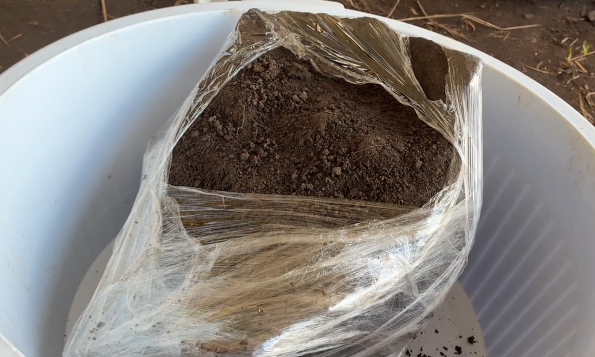 Mãos de arqueóloga segurando vasilhame de cerâmica antigo recém-retirado do solo em Parintins.