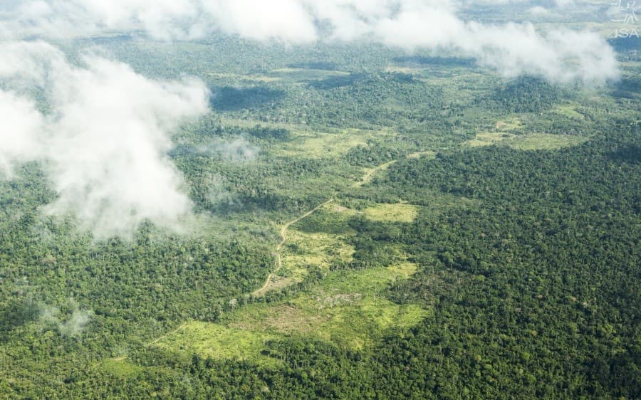 Vista aérea do rio Iriri cortando floresta densa na Terra Indígena Cachoeira Seca, no Pará.