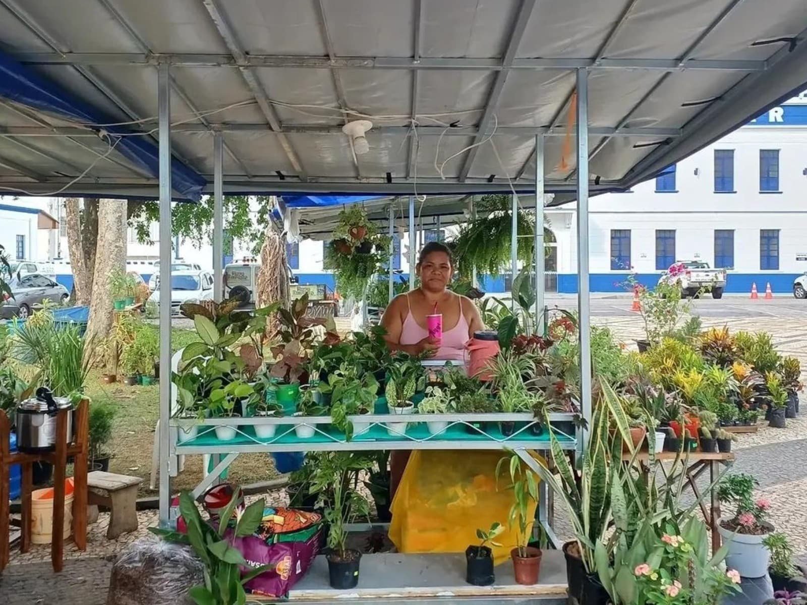 Mãos de mulher enlameadas seguram muda de planta no viveiro Renascer Flores.