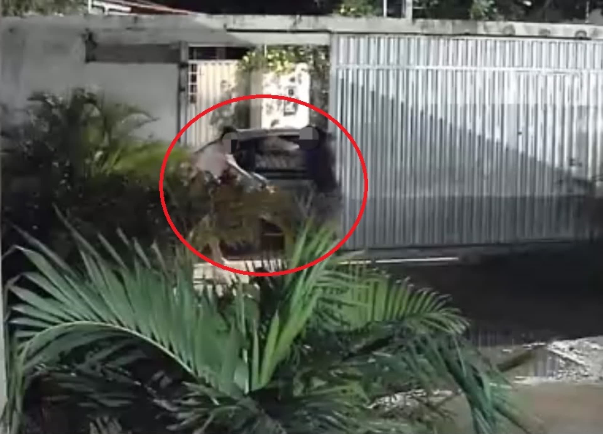 Viatura da Polícia Militar estacionada em via residencial do bairro Cauamé durante atendimento de ocorrência doméstica em Boa Vista.