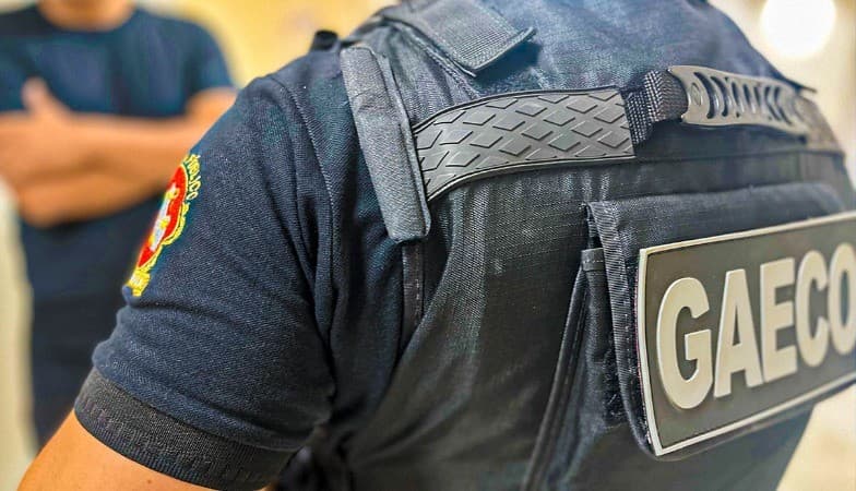 Máquinas pesadas e gado apreendidos pela polícia em Rondônia